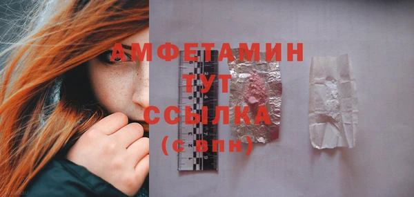 индика Волосово