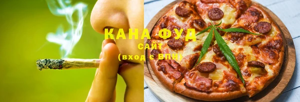 индика Волосово