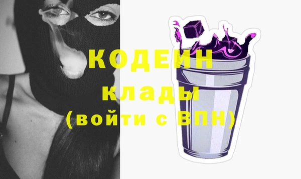 индика Волосово