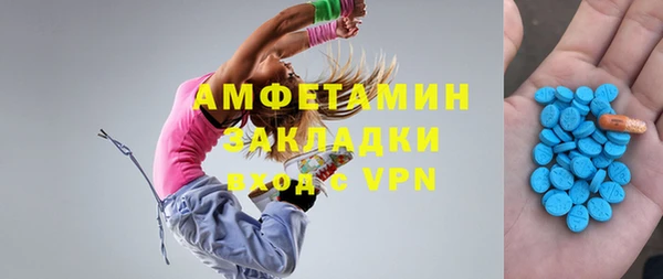 индика Волосово