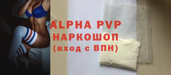 индика Волосово