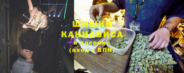 индика Волосово