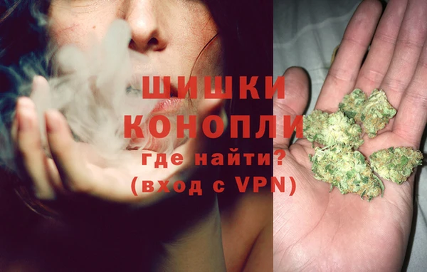 индика Волосово