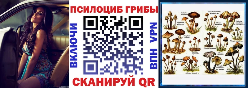 кракен ONION  Нижняя Салда  Псилоцибиновые грибы Magic Shrooms 